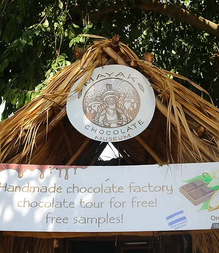 Chocolate tour - experiencia local y degustación